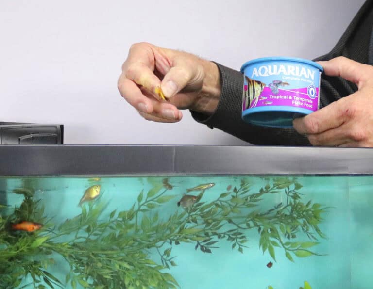 Aquarian Uk